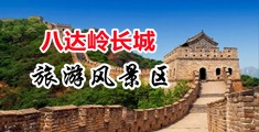 美女草b网站中国北京-八达岭长城旅游风景区